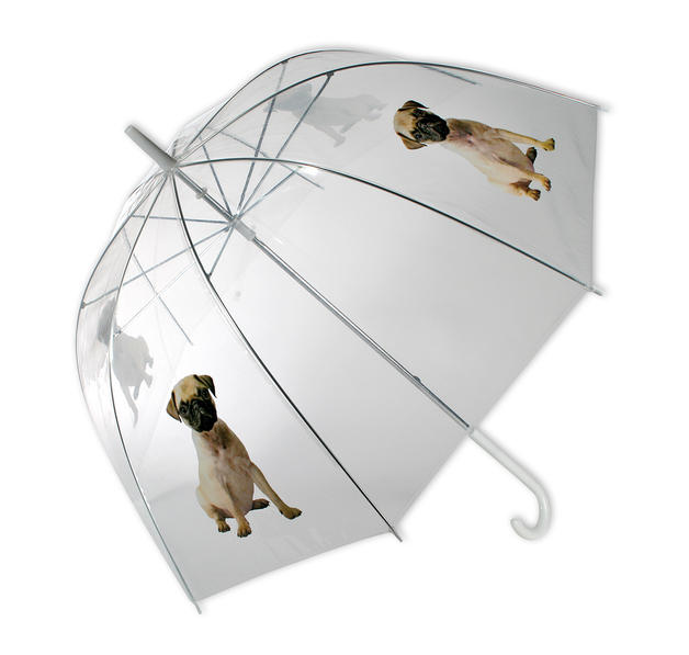 Fotodruck auf Regenschirm